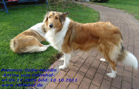 DSC00638-nina-2
