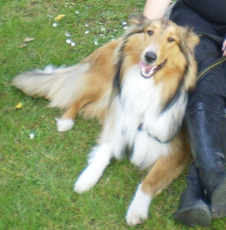 Kopie von Yoda u Frauchen