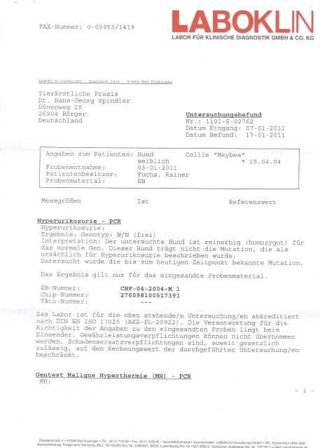 Maybee-MH+HUU+DM-2011 A