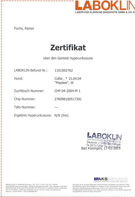 Maybee-laboklin-huu
