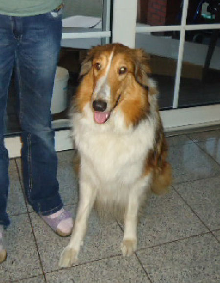 Zarina-10-12-11-a