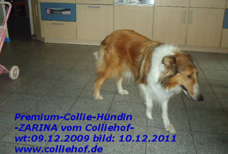 Zarina-10-12-11-f