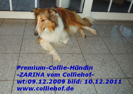 Zarina-10-12-11-j