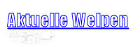 aktuelle-welpen-centerpet-colliehof