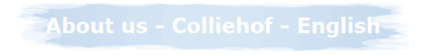 About us - Colliehof - English