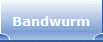 Bandwurm