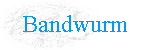 Bandwurm