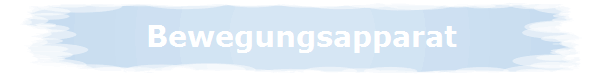 Bewegungsapparat