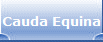 Cauda Equina
