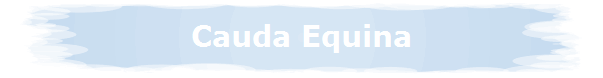 Cauda Equina