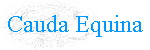 Cauda Equina