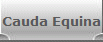 Cauda Equina
