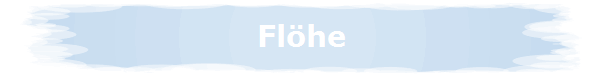 Fl�he