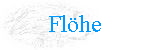Fl�he