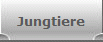Jungtiere