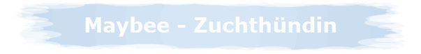 Maybee - Zuchth�ndin