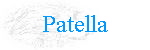 Patella