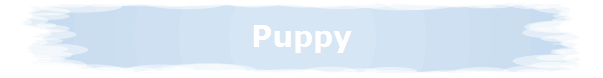 Puppy