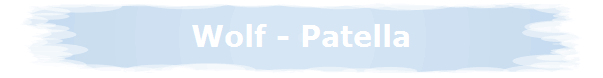 Wolf - Patella