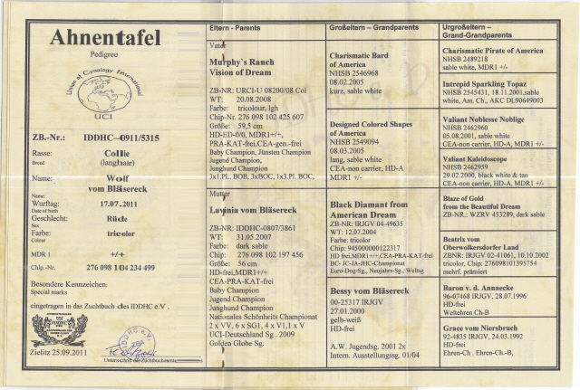 Wolf-Ahnentafel-1