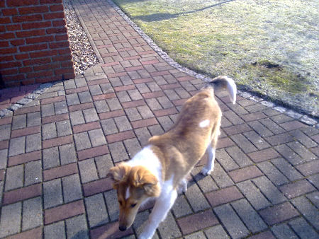candy 3-2011 022