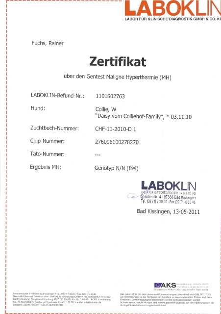 daisy-laboklin-mh-zerti daisy-laboklin-mh-zerti