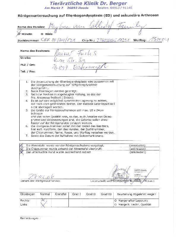 ellenbogen_maybee (1)