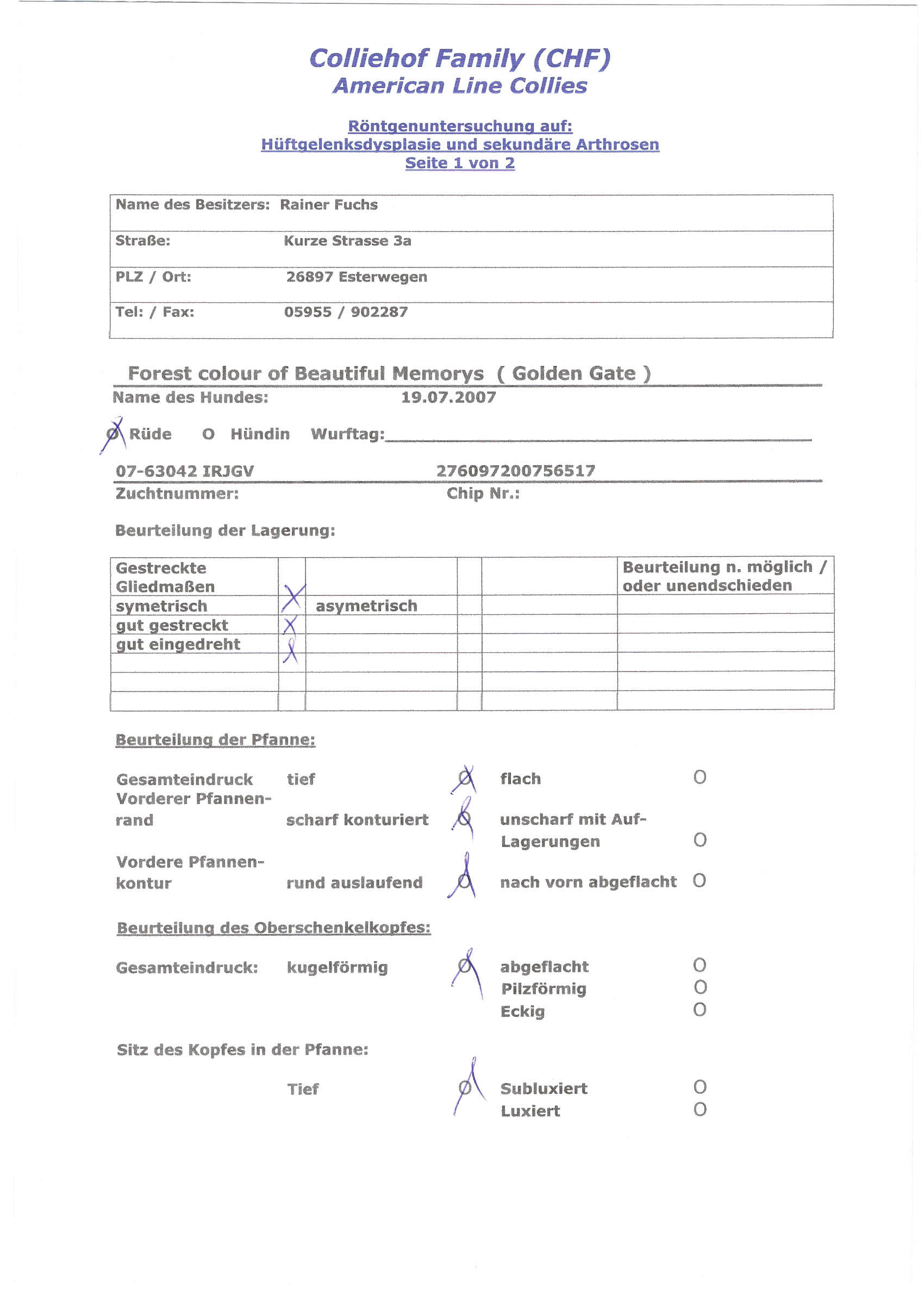 forest-h�fte-seite1