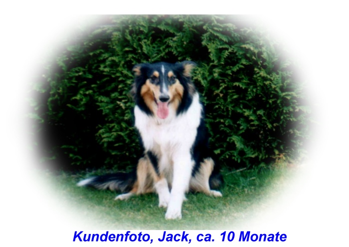 jack_10_monate_b