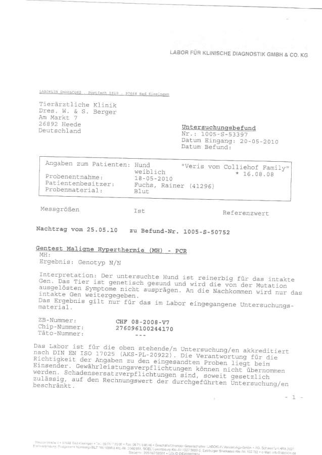 lassie-befund-mh