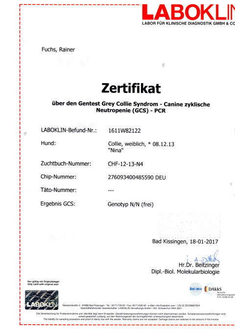 nina-gcs-laboklin