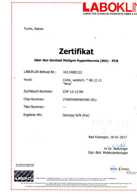 nina-mh-laboklin
