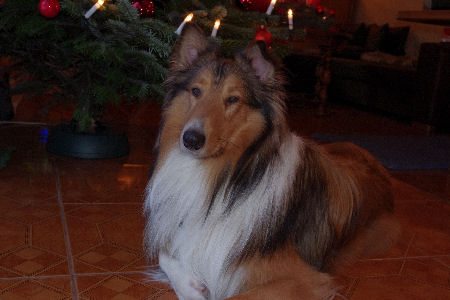 yoda1-2010 yoda1-2010