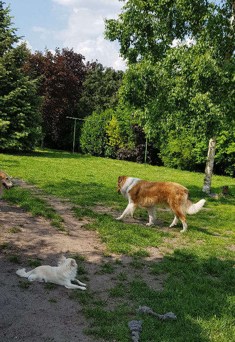 20190519_151835-Alina