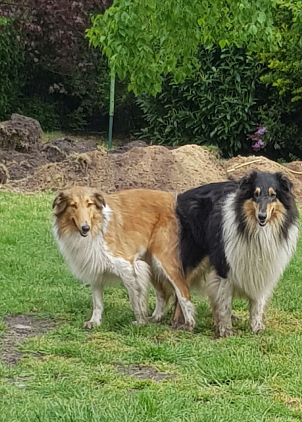 20200430_094433-Alina+Bettino-decken