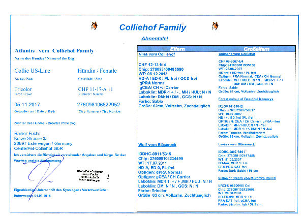 Ahnentafel-Atlantis-a