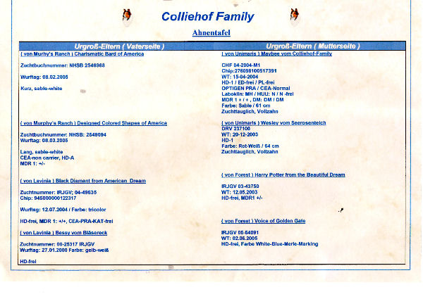 Ahnentafel-Atlantis-b