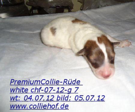 DSC01273-g7-b