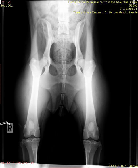 IMG-0003-00001-h�fte-roxy