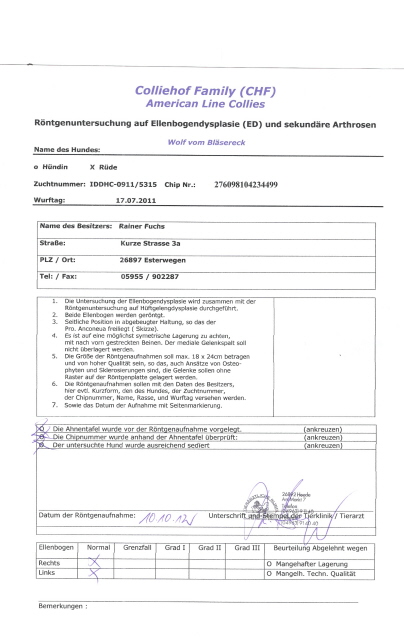 Wolf-ED-Untersuchung-Befund