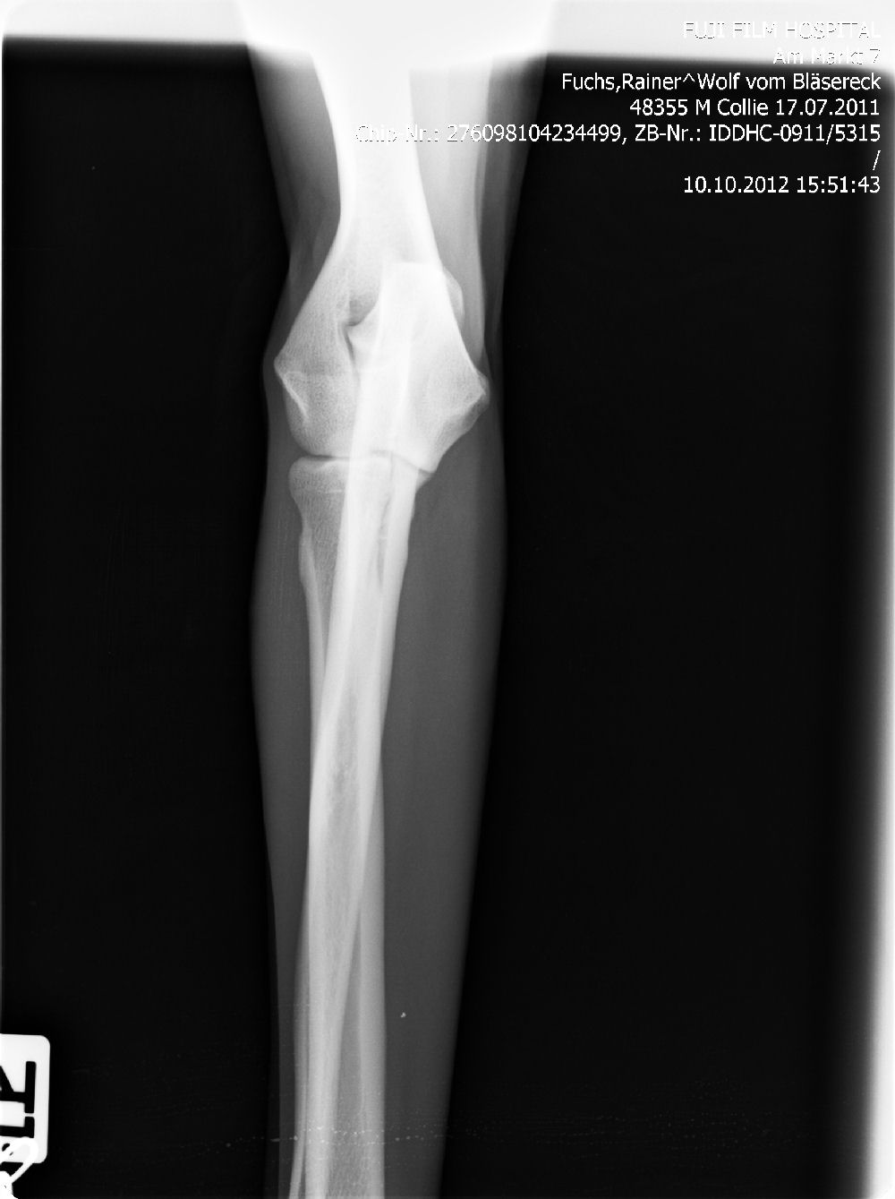 Wolf-ED-rechts-2 (2)