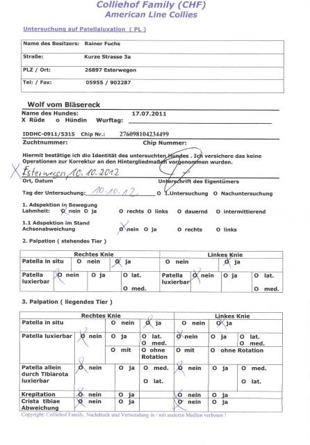 Wolf-PL-Untersuchung-Befund-Seite 1