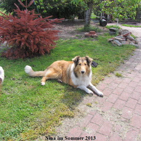 a_IMG_4134-nina-06-14