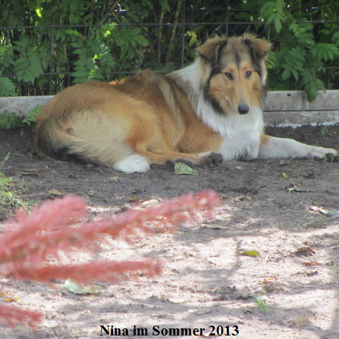 a_IMG_4151-nina-06-14