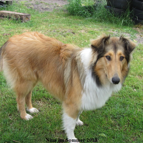 a_IMG_4154-nina-06-14