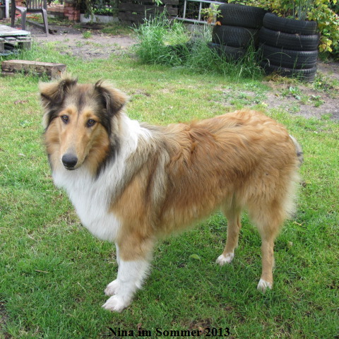 a_IMG_4158-nina-06-14