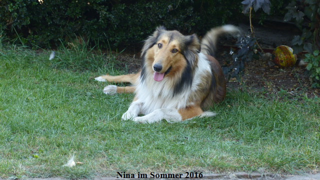 a_P1040137-NINA-2016