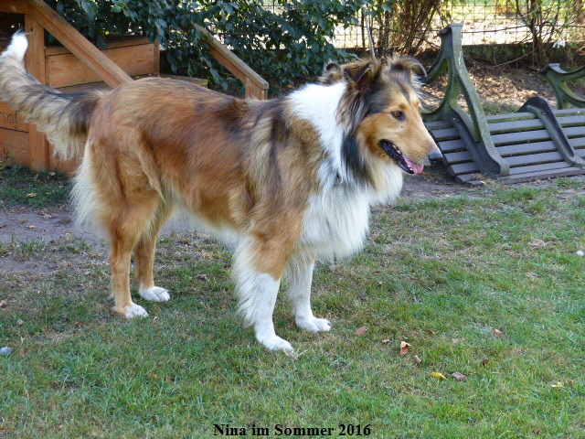 a_P1040163-NINA-2016