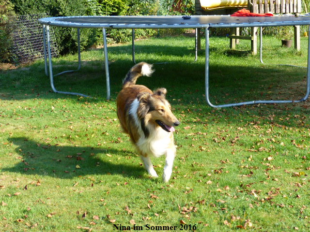 a_P1040177-NINA-2016