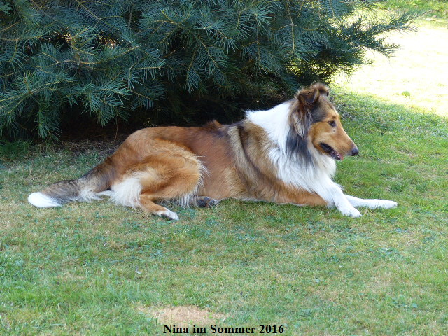 a_P1040258-NINA-2016